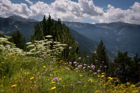 20140825-27-Pyrenees2014_Misc (27)_web.jpg